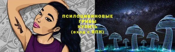 СК Сосновка
